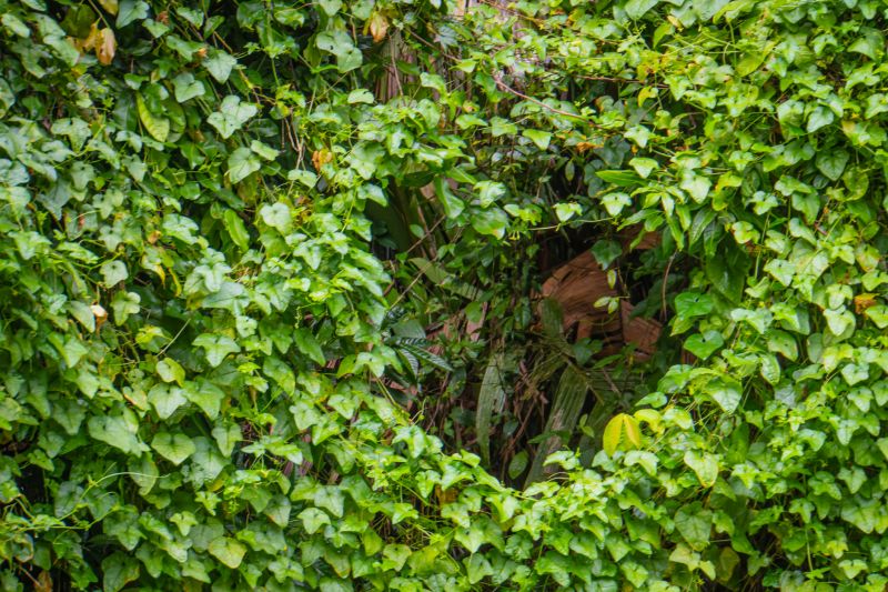 Landscape Repair Service